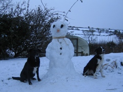 Glynelwyn snowman